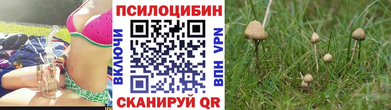 что такое наркотик  blacksprut зеркало  Псилоцибиновые грибы мухоморы  Гдов 